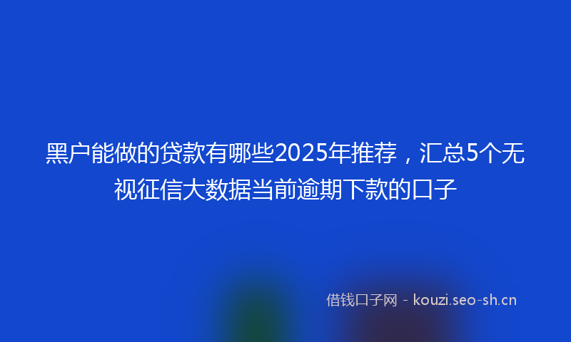 黑户能做的贷款有哪些2025年推荐,汇总5个无视征信大数据当前逾期下款的口子