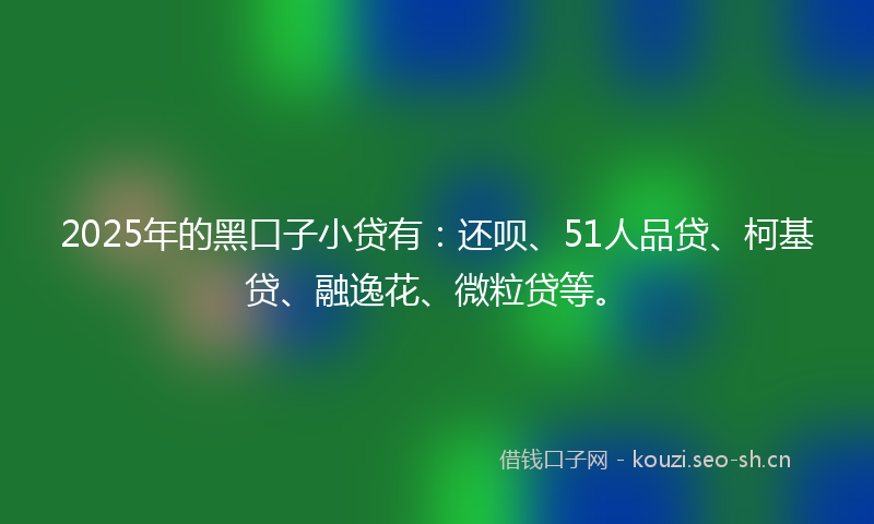 2025年的黑口子小贷有:还呗、51人品贷、柯基贷、融逸花、微粒贷等。
