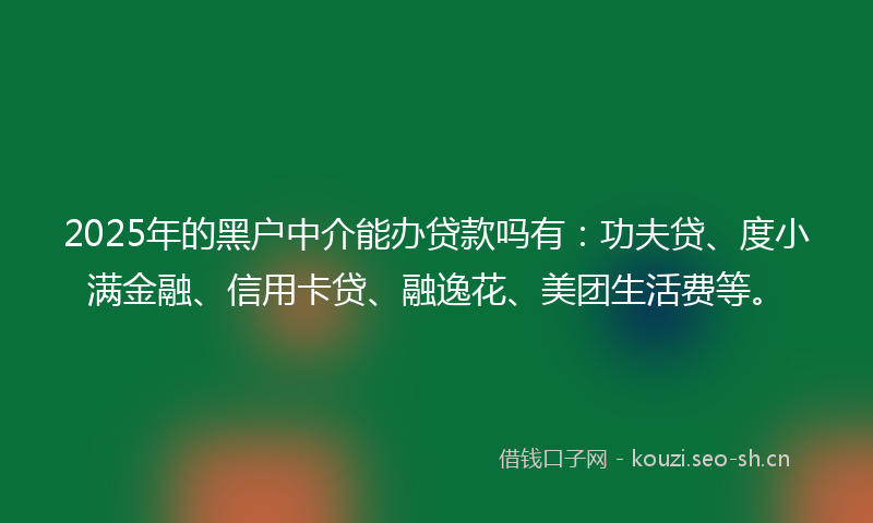 2025年的黑户中介能办贷款吗有：功夫贷、度小满金融、信用卡贷、融逸花、美团生活费等。
