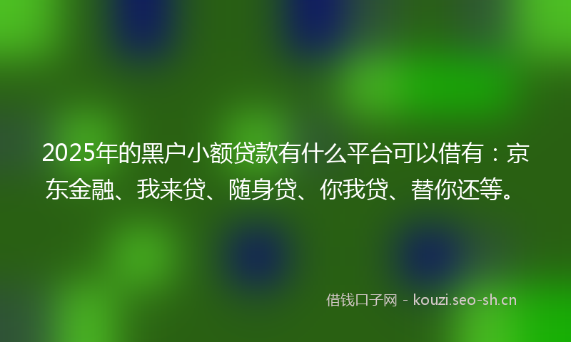 2025年的黑户小额贷款有什么平台可以借有：京东金融、我来贷、随身贷、你我贷、替你还等。