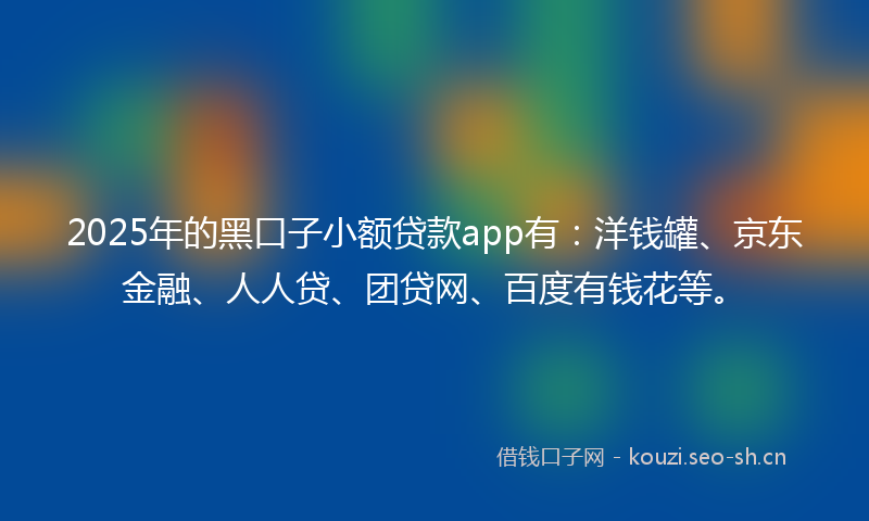 2025年的黑口子小额贷款app有：洋钱罐、京东金融、人人贷、团贷网、百度有钱花等。
