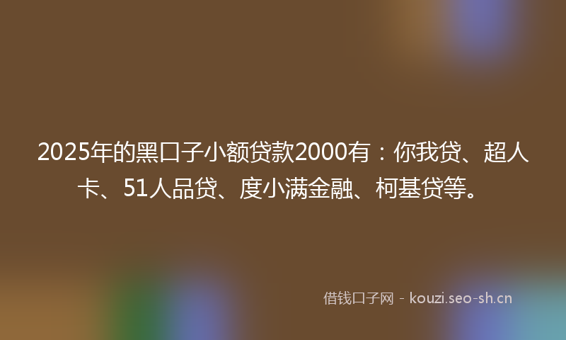2025年的黑口子小额贷款2000有:你我贷、超人卡、51人品贷、度小满金融、柯基贷等。