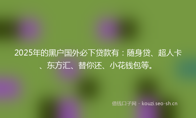 2025年的黑户国外必下贷款有：随身贷、超人卡、东方汇、替你还、小花钱包等。