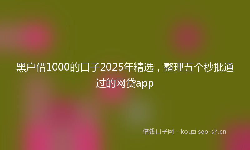 黑户借1000的口子2025年精选，整理五个秒批通过的网贷app