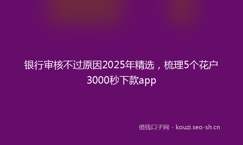 银行审核不过原因2025年精选，梳理5个花户3000秒下款app
