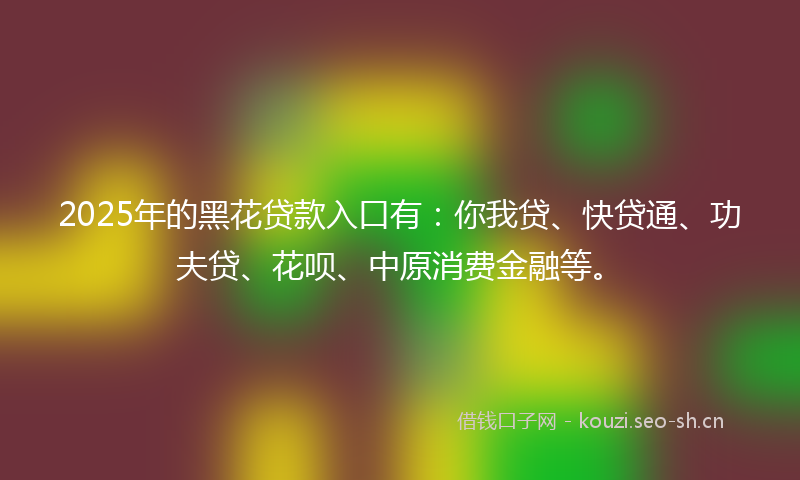 2025年的黑花贷款入口有：你我贷、快贷通、功夫贷、花呗、中原消费金融等。