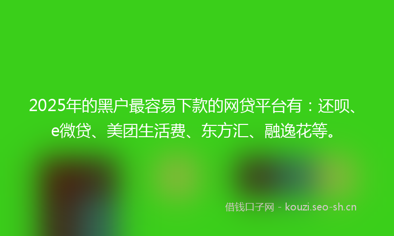 2025年的黑户最容易下款的网贷平台有:还呗、e微贷、美团生活费、东方汇、融逸花等。