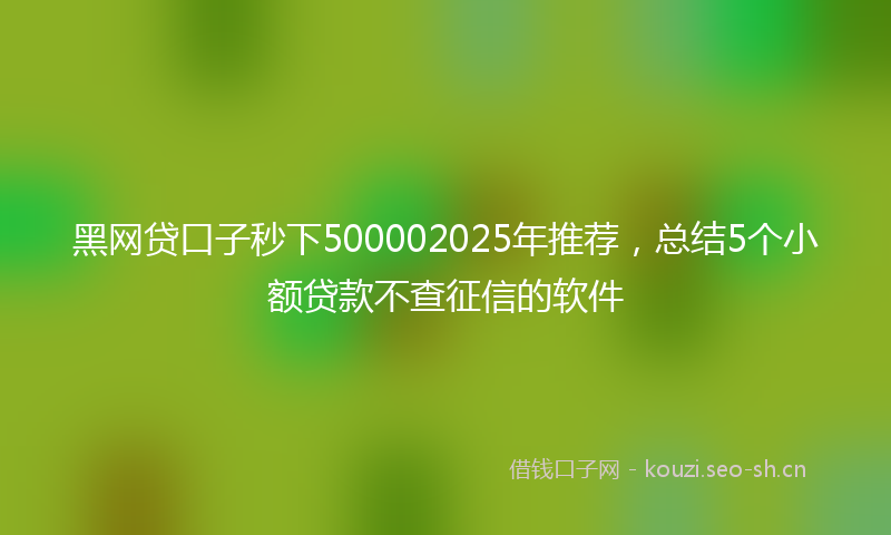 黑网贷口子秒下500002025年推荐，总结5个小额贷款不查征信的软件