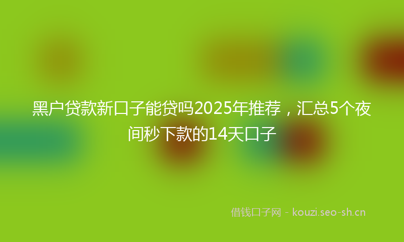 黑户贷款新口子能贷吗2025年推荐，汇总5个夜间秒下款的14天口子
