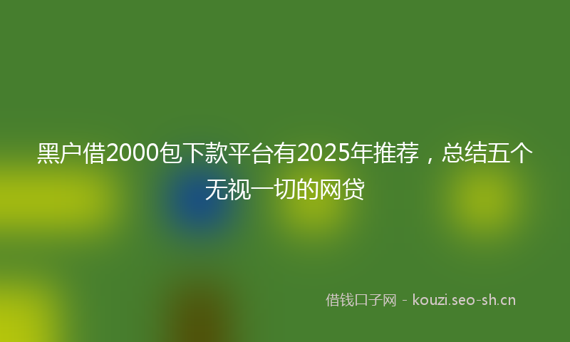 黑户借2000包下款平台有2025年推荐，总结五个无视一切的网贷