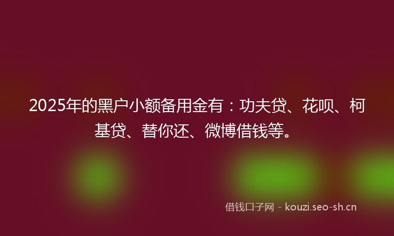 2025年的黑户小额备用金有:功夫贷、花呗、柯基贷、替你还、微博借钱等。