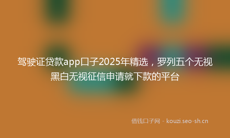 驾驶证贷款app口子2025年精选，罗列五个无视黑白无视征信申请就下款的平台