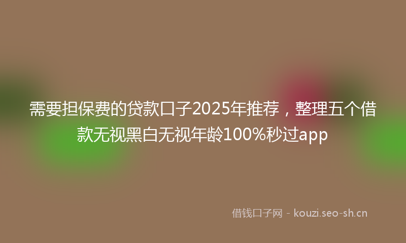 需要担保费的贷款口子2025年推荐，整理五个借款无视黑白无视年龄100%秒过app