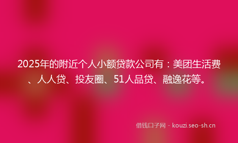 2025年的附近个人小额贷款公司有：美团生活费、人人贷、投友圈、51人品贷、融逸花等。