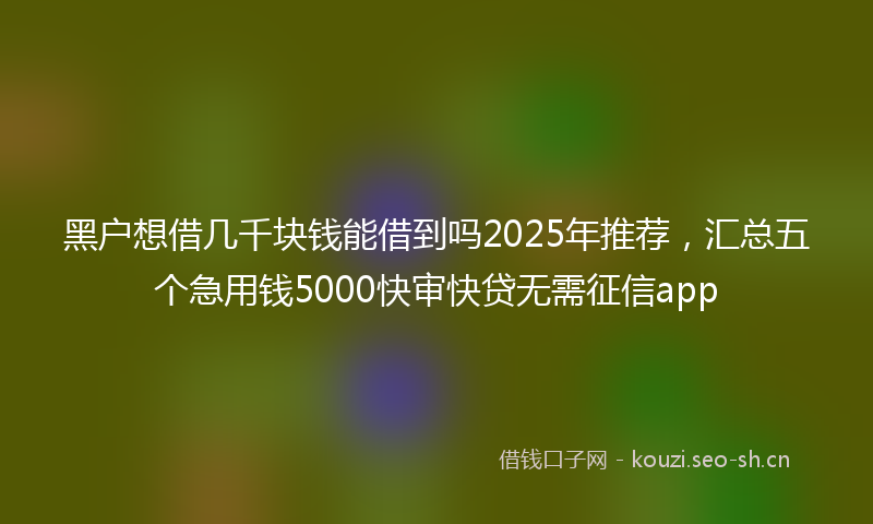 黑户想借几千块钱能借到吗2025年推荐,汇总五个急用钱5000快审快贷无需征信app