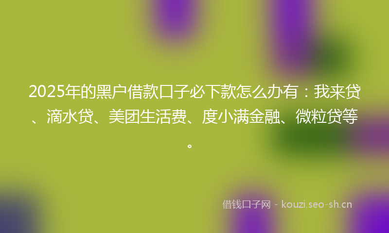 2025年的黑户借款口子必下款怎么办有：我来贷、滴水贷、美团生活费、度小满金融、微粒贷等。
