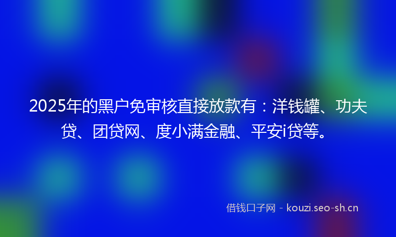 2025年的黑户免审核直接放款有：洋钱罐、功夫贷、团贷网、度小满金融、平安i贷等。
