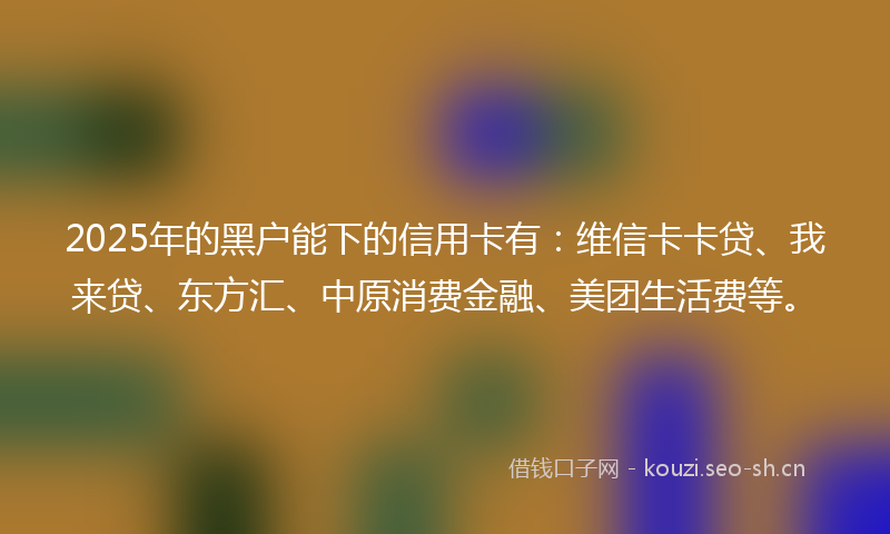 2025年的黑户能下的信用卡有:维信卡卡贷、我来贷、东方汇、中原消费金融、美团生活费等。