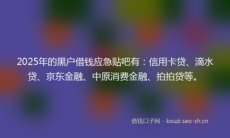 2025年的黑户借钱应急贴吧有：信用卡贷、滴水贷、京东金融、中原消费金融、拍拍贷等。