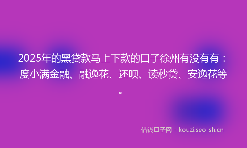 2025年的黑贷款马上下款的口子徐州有没有有：度小满金融、融逸花、还呗、读秒贷、安逸花等。