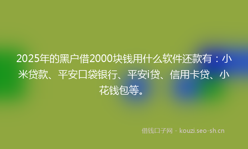2025年的黑户借2000块钱用什么软件还款有：小米贷款、平安口袋银行、平安i贷、信用卡贷、小花钱包等。