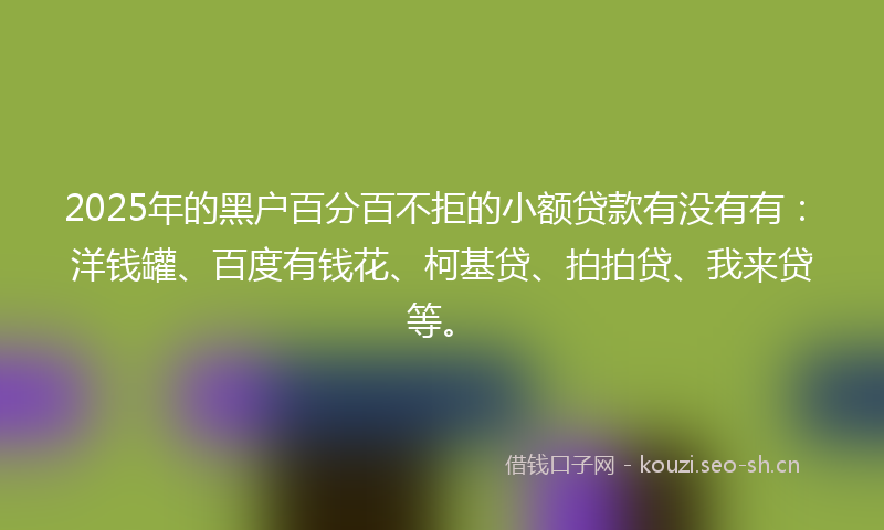 2025年的黑户百分百不拒的小额贷款有没有有：洋钱罐、百度有钱花、柯基贷、拍拍贷、我来贷等。
