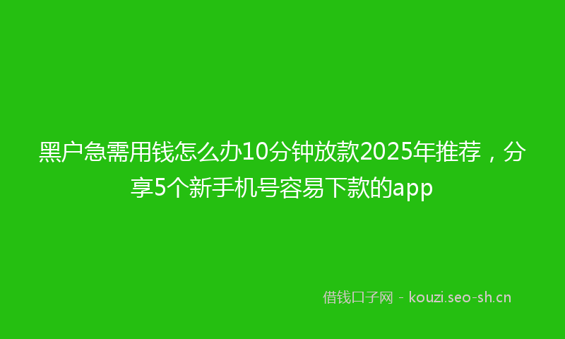 黑户急需用钱怎么办10分钟放款2025年推荐,分享5个新手机号容易下款的app