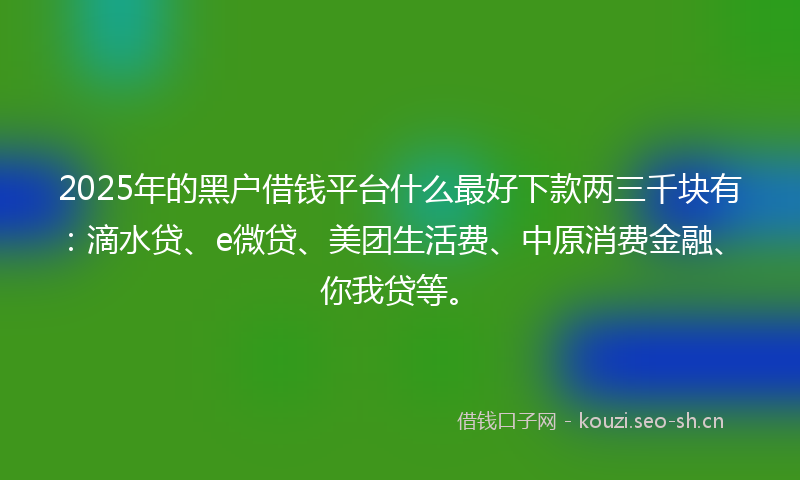 2025年的黑户借钱平台什么最好下款两三千块有：滴水贷、e微贷、美团生活费、中原消费金融、你我贷等。