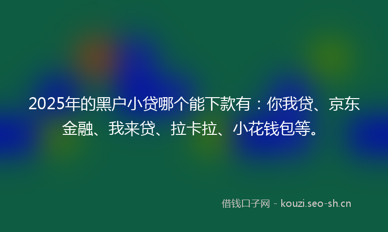 2025年的黑户小贷哪个能下款有：你我贷、京东金融、我来贷、拉卡拉、小花钱包等。