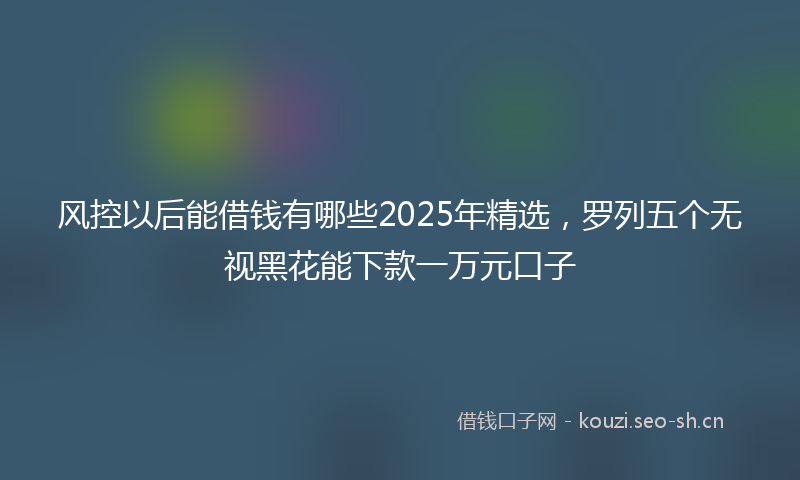 风控以后能借钱有哪些2025年精选，罗列五个无视黑花能下款一万元口子