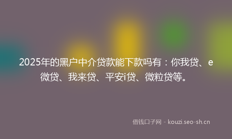 2025年的黑户中介贷款能下款吗有：你我贷、e微贷、我来贷、平安i贷、微粒贷等。