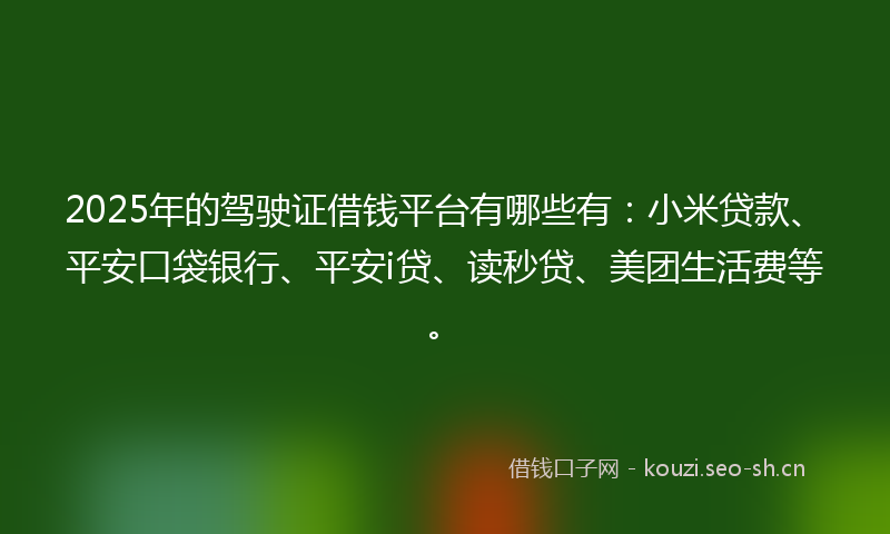 2025年的驾驶证借钱平台有哪些有：小米贷款、平安口袋银行、平安i贷、读秒贷、美团生活费等。