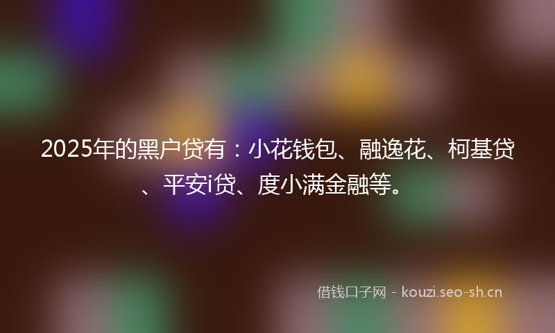 2025年的黑户贷有：小花钱包、融逸花、柯基贷、平安i贷、度小满金融等。