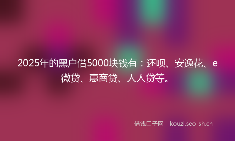 2025年的黑户借5000块钱有:还呗、安逸花、e微贷、惠商贷、人人贷等。