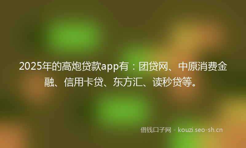 2025年的高炮贷款app有：团贷网、中原消费金融、信用卡贷、东方汇、读秒贷等。