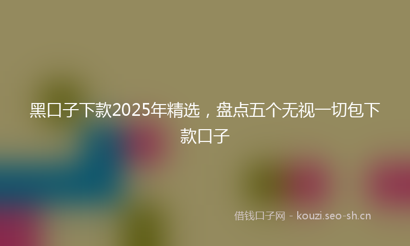 黑口子下款2025年精选，盘点五个无视一切包下款口子