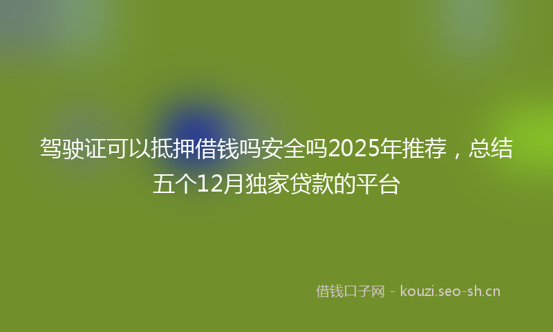 驾驶证可以抵押借钱吗安全吗2025年推荐，总结五个12月独家贷款的平台