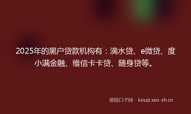 2025年的黑户贷款机构有：滴水贷、e微贷、度小满金融、维信卡卡贷、随身贷等。