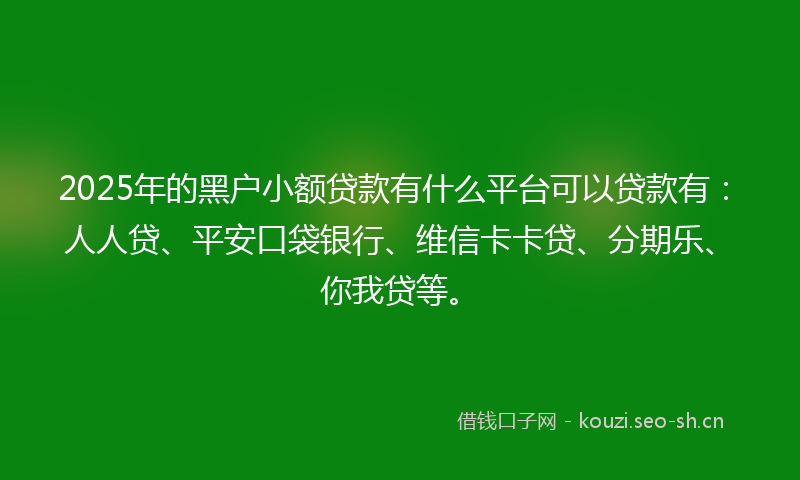 2025年的黑户小额贷款有什么平台可以贷款有：人人贷、平安口袋银行、维信卡卡贷、分期乐、你我贷等。