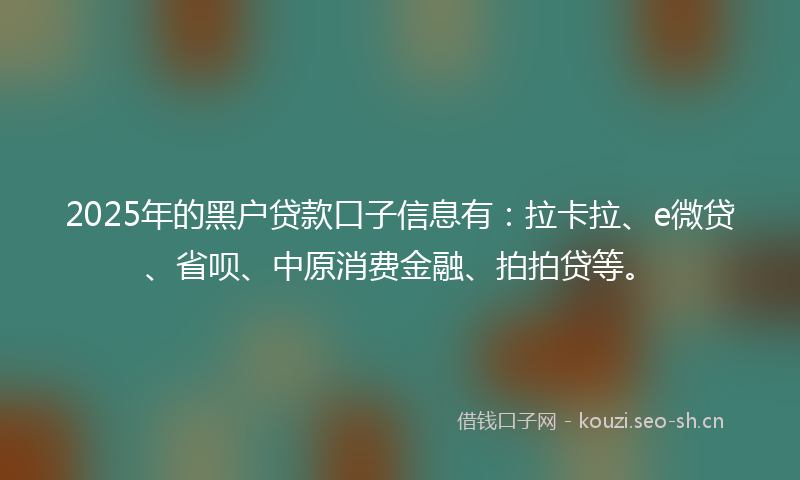 2025年的黑户贷款口子信息有：拉卡拉、e微贷、省呗、中原消费金融、拍拍贷等。