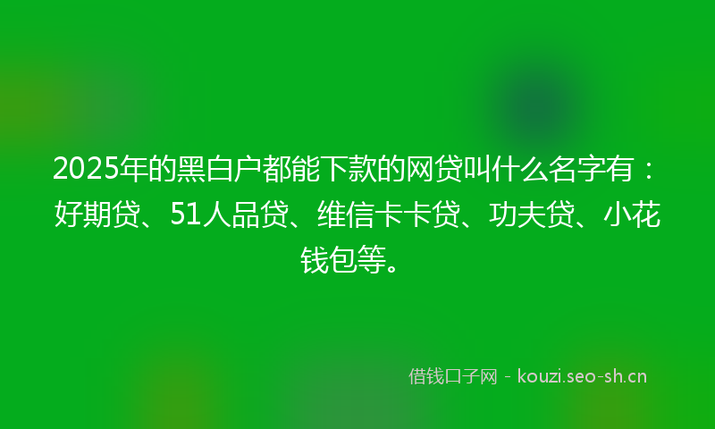 2025年的黑白户都能下款的网贷叫什么名字有：好期贷、51人品贷、维信卡卡贷、功夫贷、小花钱包等。