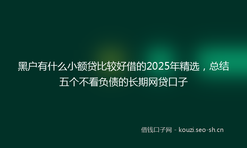 黑户有什么小额贷比较好借的2025年精选,总结五个不看负债的长期网贷口子