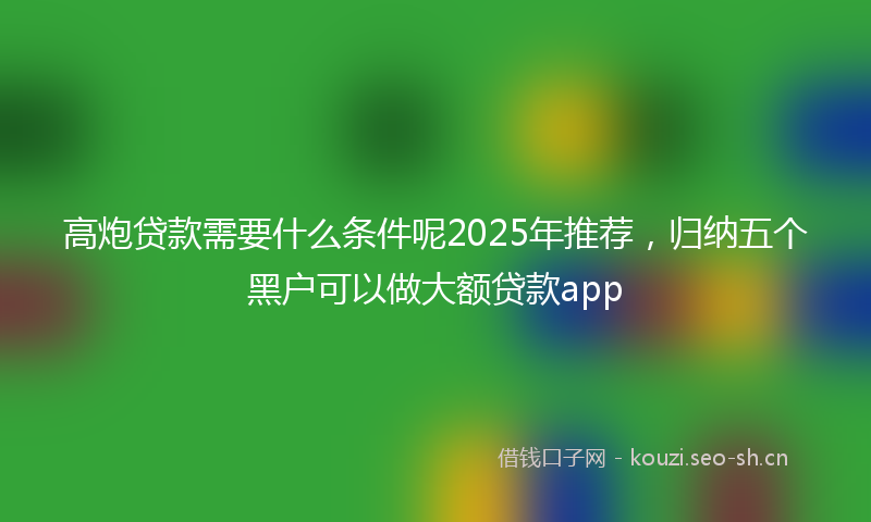 高炮贷款需要什么条件呢2025年推荐，归纳五个黑户可以做大额贷款app