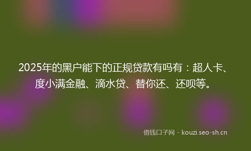 2025年的黑户能下的正规贷款有吗有:超人卡、度小满金融、滴水贷、替你还、还呗等。