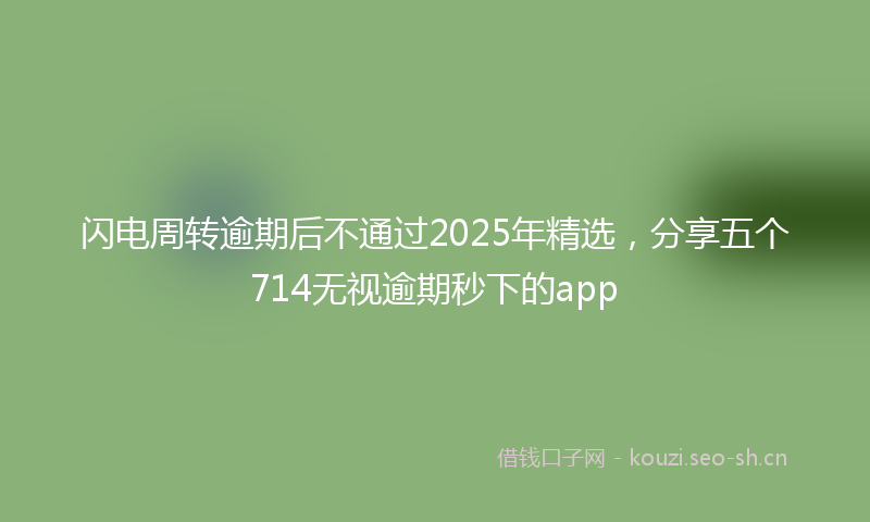 闪电周转逾期后不通过2025年精选，分享五个714无视逾期秒下的app