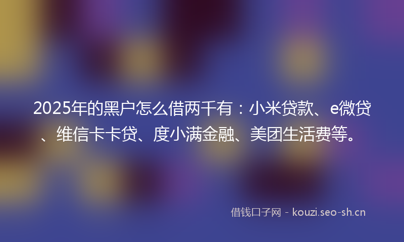 2025年的黑户怎么借两千有:小米贷款、e微贷、维信卡卡贷、度小满金融、美团生活费等。