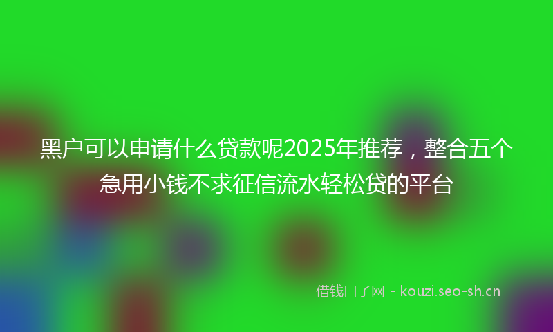 黑户可以申请什么贷款呢2025年推荐，整合五个急用小钱不求征信流水轻松贷的平台
