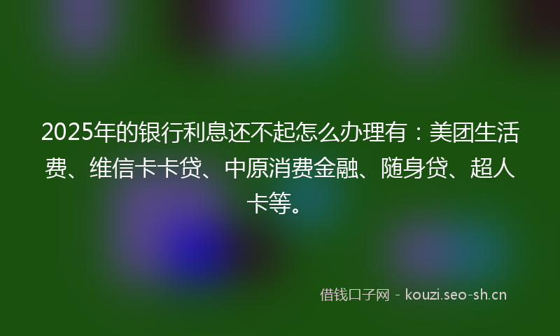 2025年的银行利息还不起怎么办理有：美团生活费、维信卡卡贷、中原消费金融、随身贷、超人卡等。