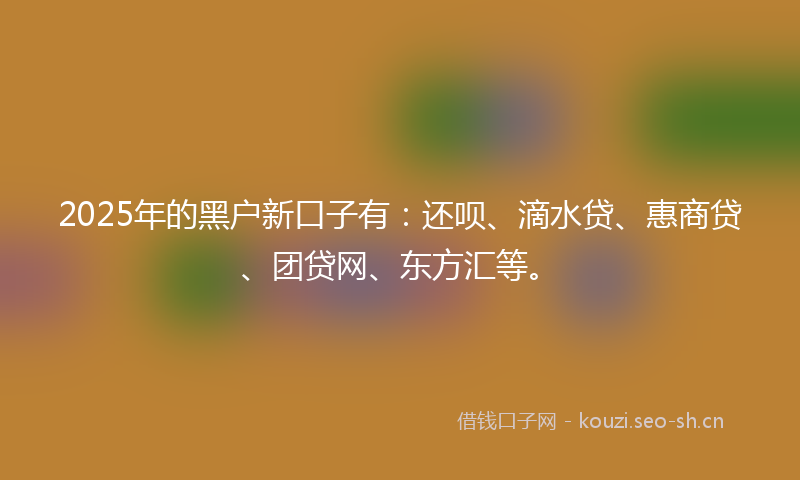2025年的黑户新口子有：还呗、滴水贷、惠商贷、团贷网、东方汇等。