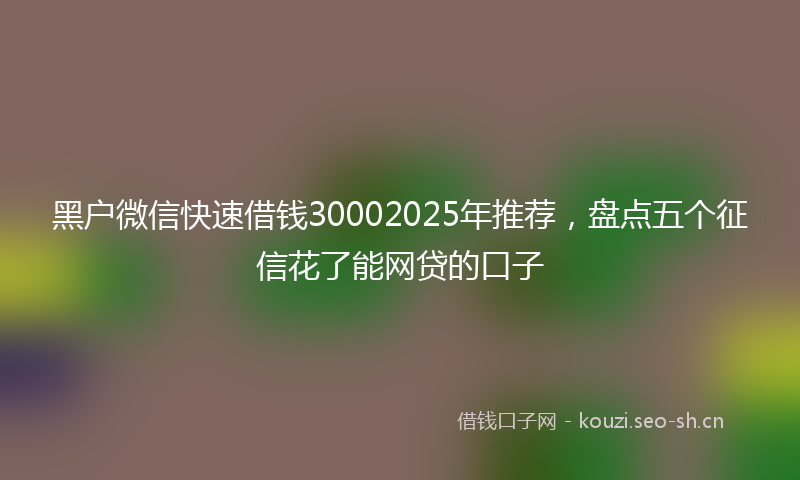 黑户微信快速借钱30002025年推荐，盘点五个征信花了能网贷的口子